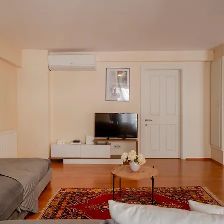 Appartement Spacious 1-bedroom Istanboel